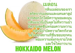 <หอมสุด>น้ำหอมไม้ปักอโรม่า กลิ่น Melon : scent nature