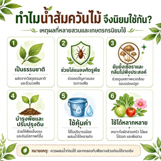 น้ำส้มควันไม้ ขวดเดียวเอาอยู่ ธรรมชาติ 100% (500ml) กำจัดเพลี้ย ไล่แมลง ดับกลิ่นอับ บำรุงพืช แถมฟรีเมล็ดผัก+คู่มือ