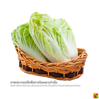 ผักกาดขาวปลี แพ็คละ Chinese Cabbage per. pack