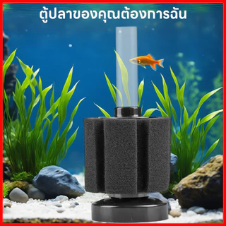 ⚡พร้อมส่งจากไทย⚡ 🐠 กรองฟองน้ำตู้ปลา ฟองน้ำกรองชีวภาพ ฟองน้ำกรองละเอียด น้ำใส ปลาแข็งแรง 💧