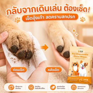 ซื้อ 2 แถม 1 ถุงมือเช็ดตัวสัตว์เลี้ยง Pet Disposable Glove Wipes สำหรับหมาแมว