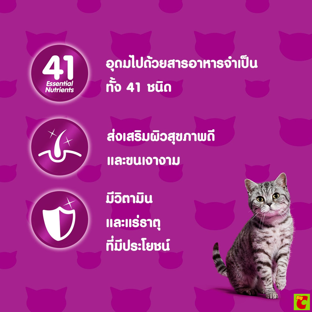 Whiskas طعام قطط بالغة رطب بسمك الماكريل المشوي 80 غ — صورة 5
