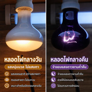 Minisun หลอดไฟให้ความร้อน UVA + UVBเสริมแคลเซียม ขั้วหลอดไฟเซรามิกE27 ไฟนก ไฟเต่า ไฟกิ้งก่า ใช้คู่กับขั้วหลอดไ