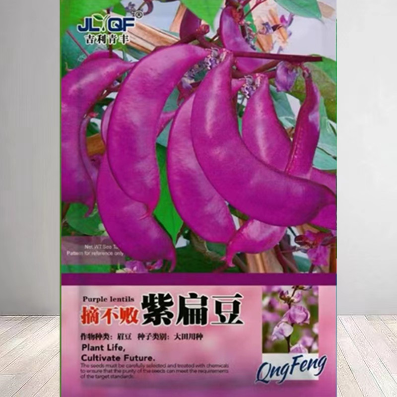 现货热卖紫扁豆紫眉豆红眉豆种子红峨眉豆高产品种蔬菜种籽阳台盆栽大田Purple Lentil Purple Bean Red Bean Seeds Red Emei Bean20260727