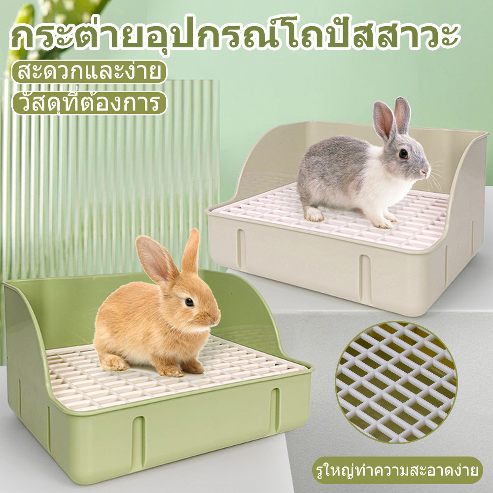 ห้องน้ำกระต่าย ขนาดใหญ่ ทนทาน ห้องน้ำ แกสบี้ แพรี่ด๊อก
