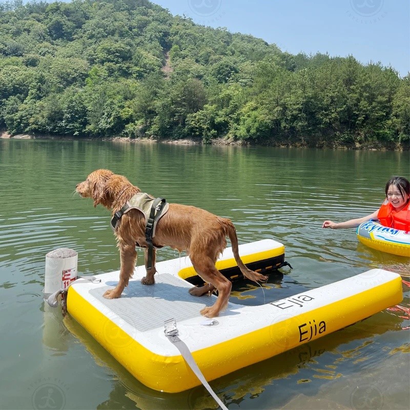 ขายใหม่แบบพกพาสุนัขเล่นน้ําของเล่นพอง Pup Plank สัตว์เลี้ยง Ramp Plank Float Platform สุนัข Ramp สัต