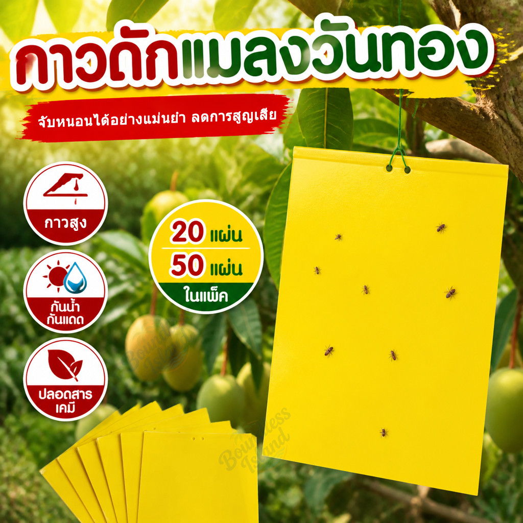 (50 แผ่น) แผ่นกาวดักแมลงวันทองสีเหลือง กาวทนแดดฝนรุ่นพิเศษ ไม่ต้องใช้เคมี กาว 2 หน้า กระดาษจับแมลง