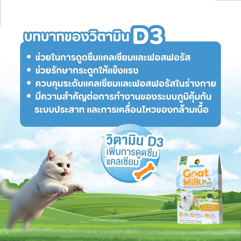 BEARING Goat Milk Plus แบร์ริ่ง โกท มิลค์พลัส 200g - รูปที่ 5