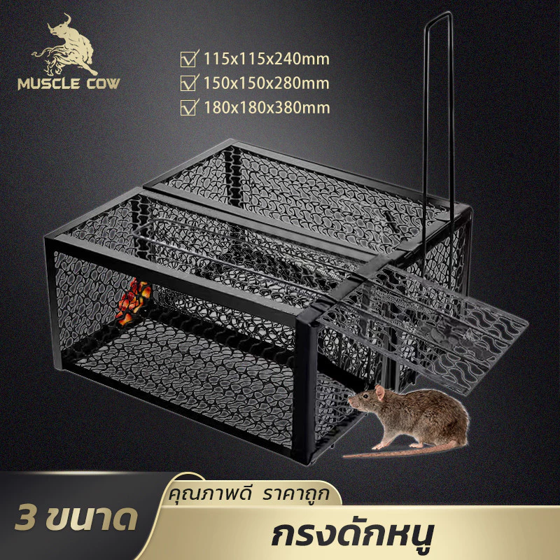 MUSCLE COW กรงดักหนูโลหะ แข็งแรง มีให้เลือก 3 ขนาด โครงหนา สปริงคู่ พร้อมใช้งาน ดักหนูต่อเนื่องได้