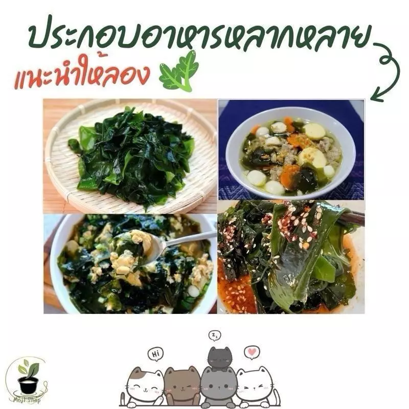 100 กรัม สาหร่ายวากาเมะอบแห้ง แผ่นใหญ่คุณภาพดี thumbnail 6