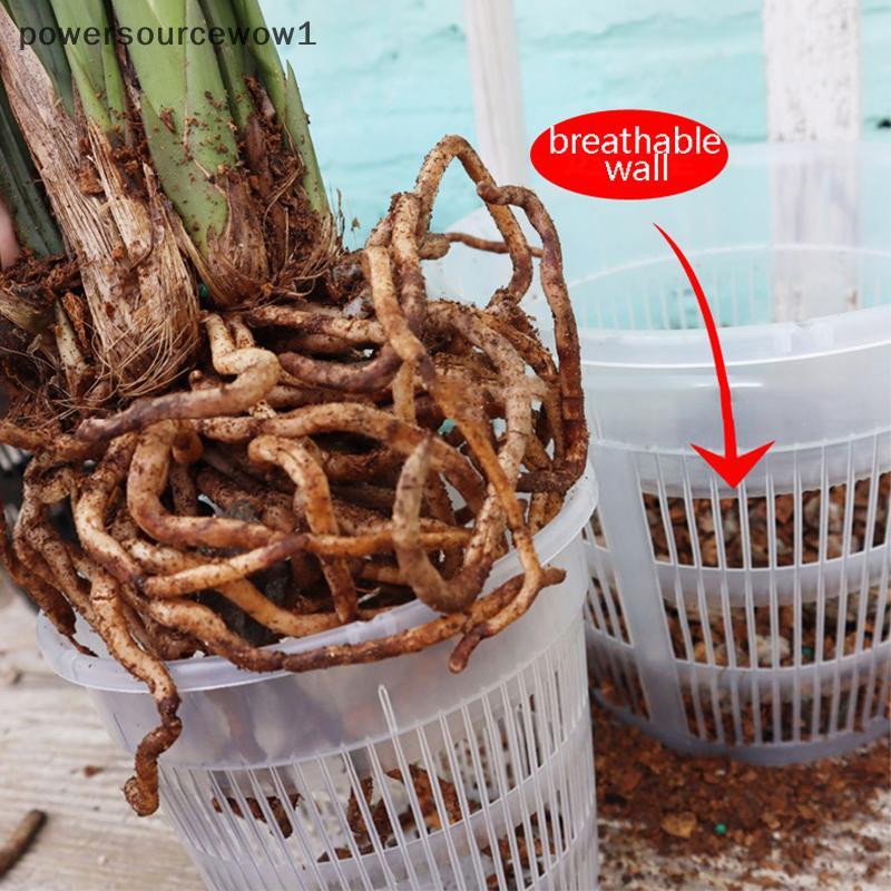 WOW 11/14 ซม.ตาข่ายหม้อ Root Control โปร่งใสกระถางดอกไม้สําหรับ Orchid ดอกไม้ Breathable Growth คอนเ