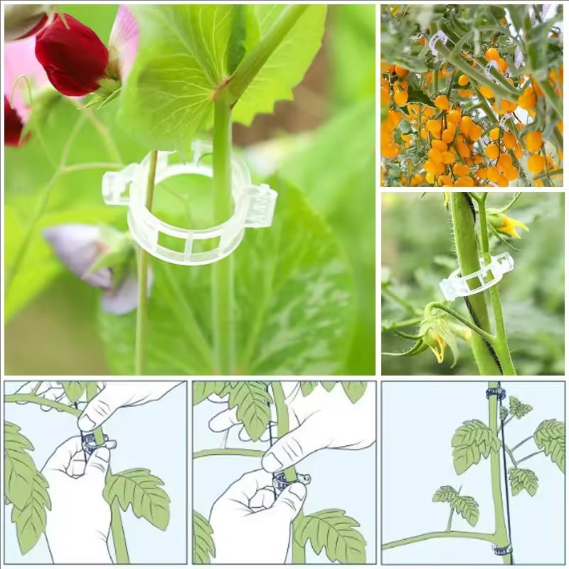 100 ชิ้นคลิปพืชรองรับพลาสติกแบบใช้ซ้ําได้เชื่อมต่อ Fixing Vine Tomato Stem Grafting ผักพืช Orchard และ Garden เครื่องมือ - รูปที่ 5