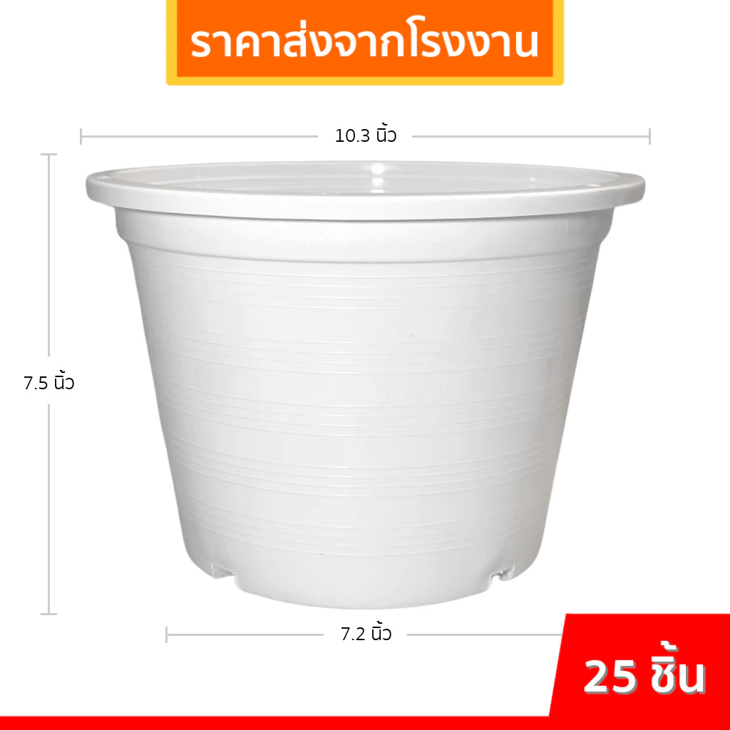 กระถาง 10 นิ้ว พลาสติกดำ ยกมัด 25 ใบ ขนาดมาตรฐาน thumbnail 9