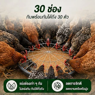 ถาดอาหารไก่ 60 ซม. 30 ช่อง พร้อมตะแกรงกันเหยียบ ถาดให้อาหารไก่ เป็ด ห่าน ลดอาหารหก พลาสติกหนา แข็งแรง สำหรับฟาร์มสัตว์ปี