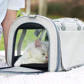 PetStern กระเป๋าแมวใบใหญ่ แมวพับได้ กระเป๋าแมวแบบใส