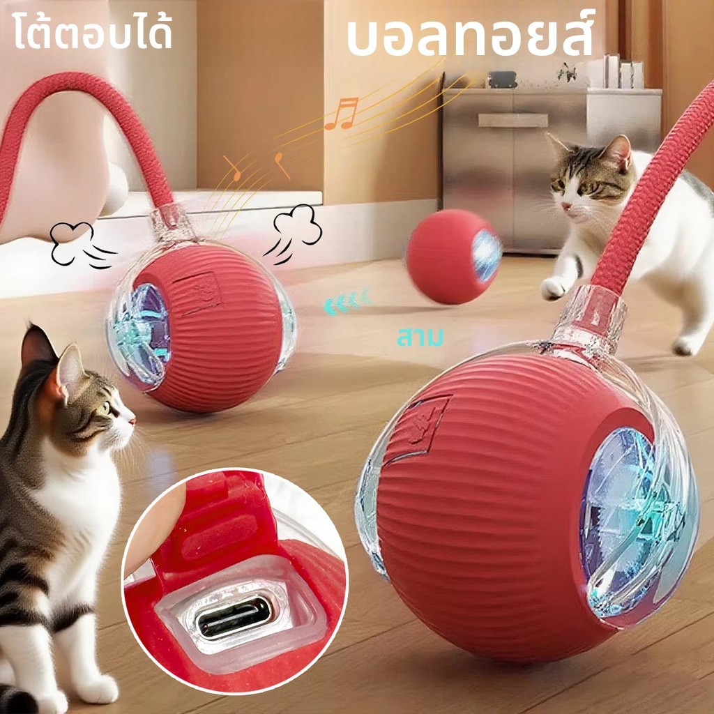 แมวลูกบอลโต้ตอบของเล่นลูกบอลกลิ้งอัตโนมัติหาง มารยาท