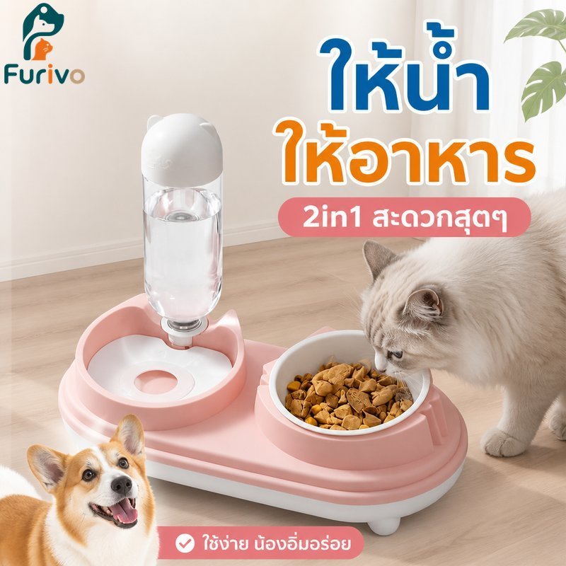 เครื่องให้อาหารสัตว์เลี้ยงอัตโนมัติเครื่องจ่ายน้ําชามคู่แมวสุนัขอาหารให้อาหารไม่ลื่นทําความสะอาดง่าย