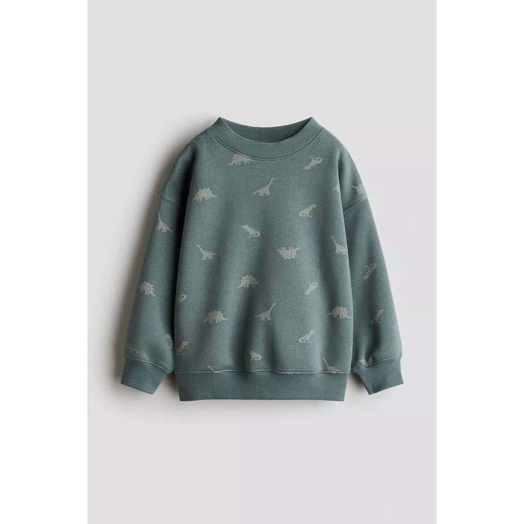 H&M(เอชแอนด์เอ็ม) สเวตเชิ้ตผ้าขนฟูด้านใน เด็กชาย 1343777_1