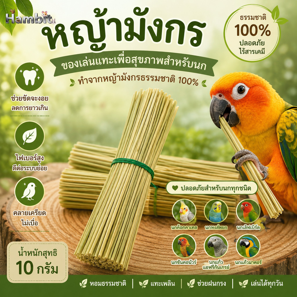 Hambit. หญ้ามังกร ของเล่นแทะนก 10g ขัดจะงอยปาก ลดเครียด ไฟเบอร์สูง ปลอดภัย 100%