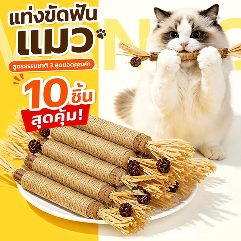 【10 ชิ้น】Mango ไม้มาทาทาบิ ขัดฟันแมว 22cm ลดคราบหินปูน ขัดฟันแมว กัญชาแมวมาทาบิ ของเล่นแมว พร้อมส่งจากไทย