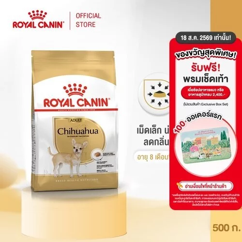 Royal Canin Chihuahua Adult 500g อาหารเม็ดสุนัขโต พันธุ์ชิวาวา อายุ 8 เดือนขึ้นไป (Dry Dog Food, โรยัล คานิน)