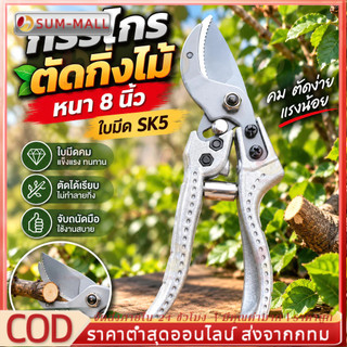กรรไกรตัดกิ่งไม้ 8 นิ้ว ใบมีด SK5 รุ่น ดีมิเทอร์ PTG-SK5DM 29536 คม ทนทาน ใช้งานง่าย พร้อมส่ง คุณภาพดี