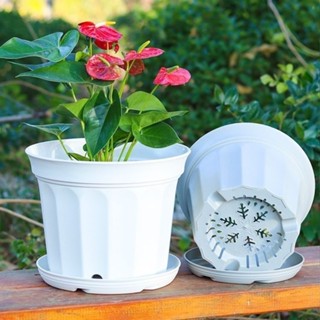 กระถางต้นไม้ กระถางกลมทรงเตี้ย กระถางต้นไม้พลาสติก พลาสติกหน…