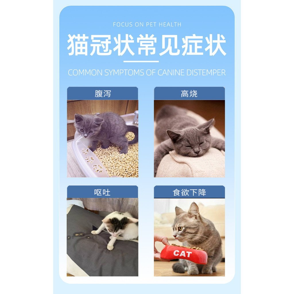 Absitis Infection Unit Test Card Cat Coronavirus Test Paper สัตว์เลี้ยง Anti-Original FCOV Test Pape