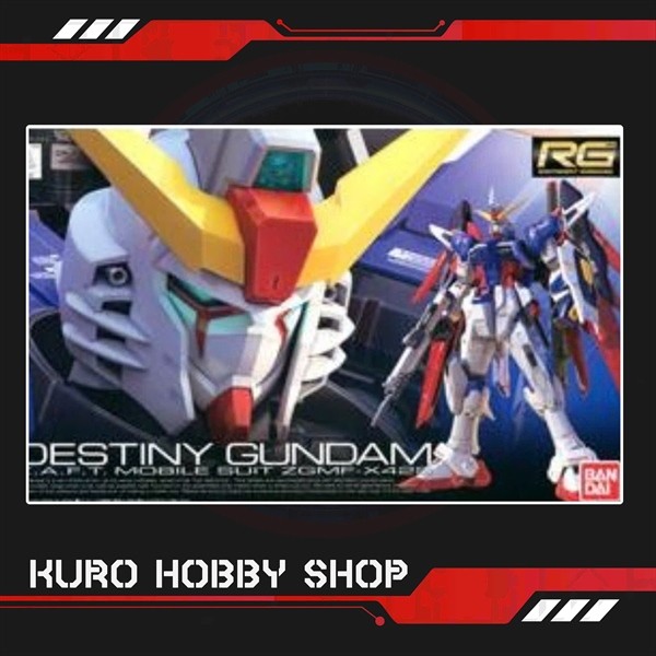 RG 1/144 Destiny Gundam - Bandai Assembly Model