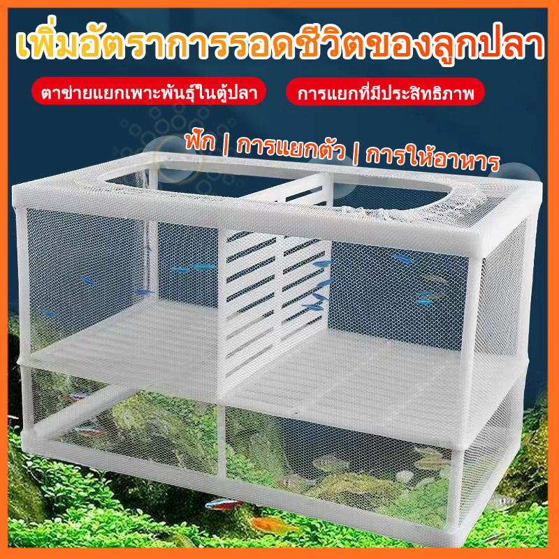 กล่องแยกปลา ตาข่ายแยกพันธุ์ปลาต่อสู้ ป้องกันการกัดกิน แยกปลาป่วย-ลูกกุ้ง กล่องฟักไข่ปลาในตู้