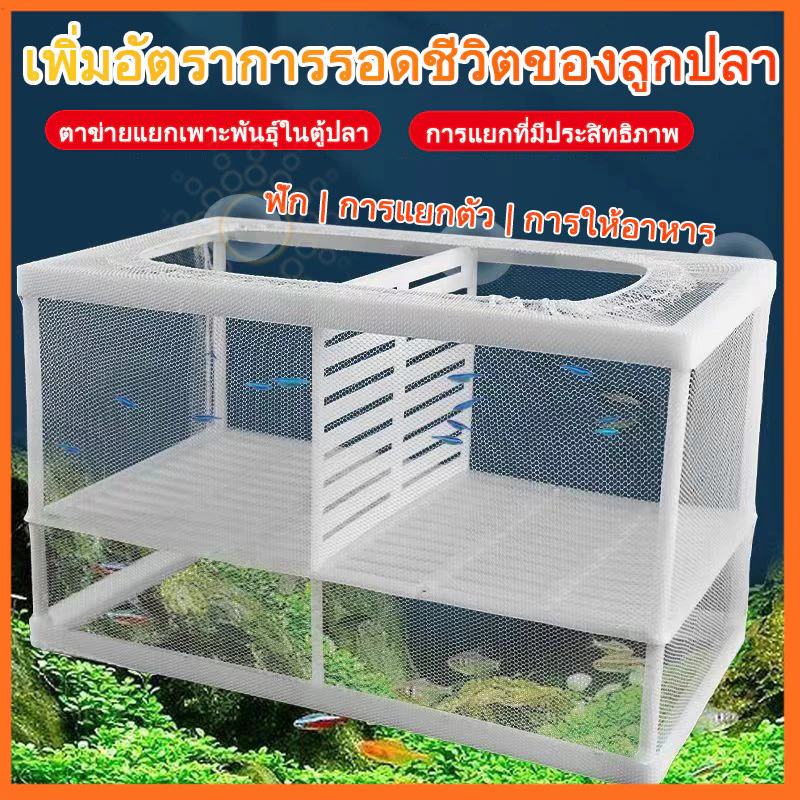 กล่องตาข่ายแยกปลา แยกปลาป่วย ลูกกุ้ง กล่องฟักไข่ปลา