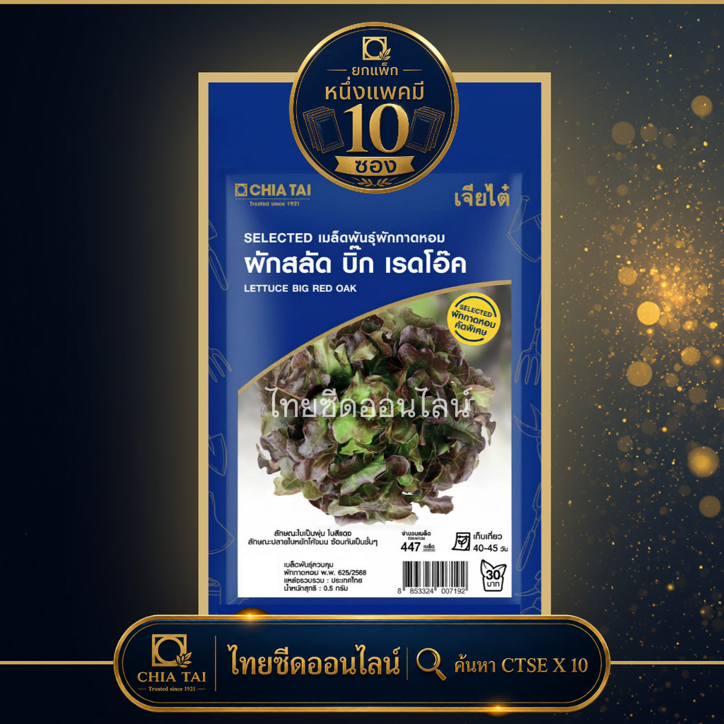 CTSE x 10 เมล็ดผักซองเจียไต๋ ผักกาดหอม บิ๊กเรดโอ๊ค สินค้ายกแพ็ค