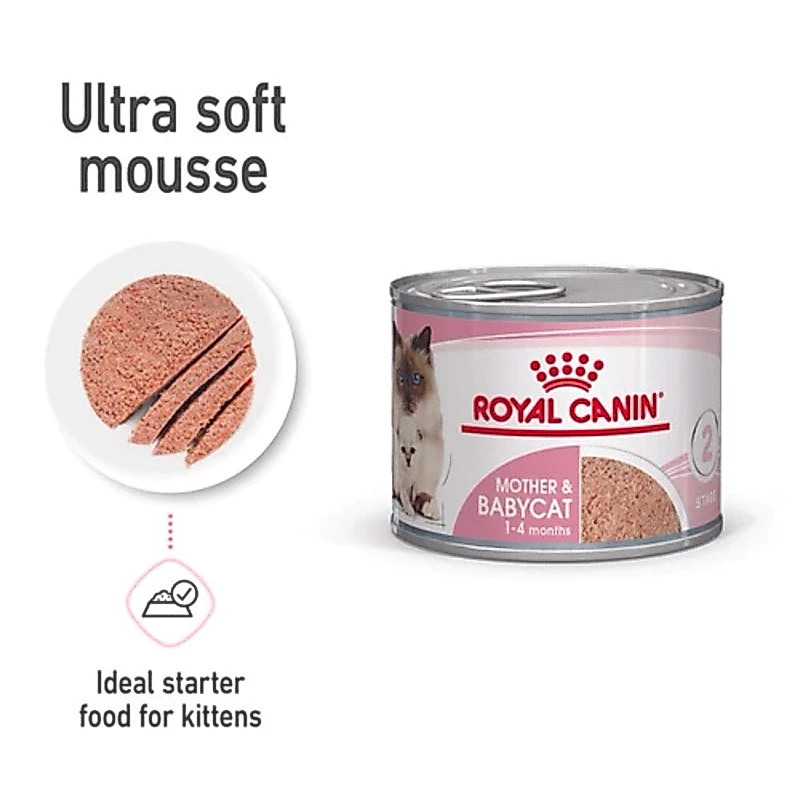 [เฉพาะส่งด่วน] Royal Canin BABYCAT CAN กระป๋อง 1 โหล สินค้าใหม่(12กระป๋อง) thumbnail 5