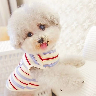 【Hipidog】เสื้อผ้าสัตว์เลี้ยง เสื้อกั๊ก แบบบาง ระบายอากาศได้ดี ลายหมีชิงช้า สําหรับสุนัข แมว