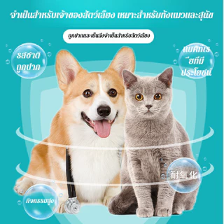 🐶🐱【เหมาะสำหรับสัตว์เลี้ยงทุกวัย】โปรไบโอติกสุนัขแมว อาหารเสริมสุขภาพลำไส้ ลดการติดเชื้อ เสริมจุลินทรีย์ สำหรับสุนัข/แมว