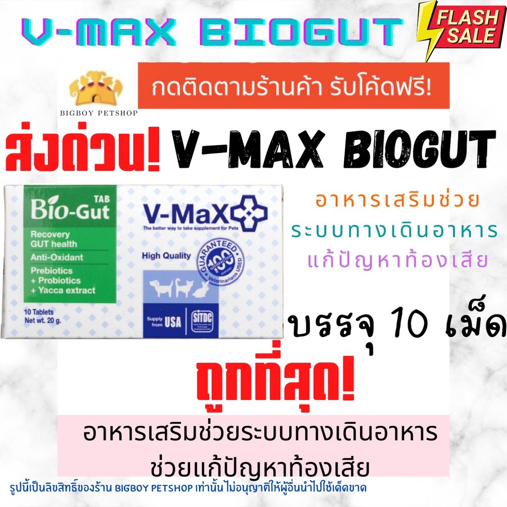 ถูกที่สุดV-max Bio Gut อาหารเสริมช่วยระบบทางเดินอาหารช่วยแก้ปัญหาท้องเสีย บรรจุ 10 เม็ด V max biogut