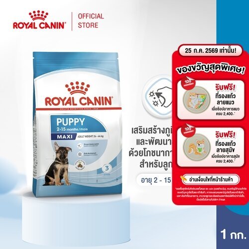 Royal Canin Maxi Puppy 1kg อาหารเม็ดลูกสุนัข พันธุ์ใหญ่ อายุ 2-15 เดือน (Dry Dog Food, โรยัล คานิน)