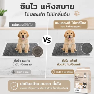 SKISOPGO แผ่นรองฉี่สุนัข รุ่นชาโคล แผ่นรองฉี่แมว ช่วยฝึกขับถ่าย การดูดซับน้ำ6ชั้น ระงับกลิ่นได้ดี