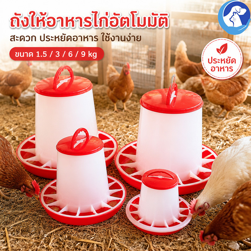 พร้อมส่ง ถังให้อาหารไก่ ถังให้อาหารไก่อัตโนมัติ เครื่องให้อาหารไก่อัตโนมัติ ป้องกันไก่คุ้ยเขี่ย ประหยัดอาหาร