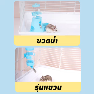3-in-1 ขวดน้ำแฮมเตอร์ ขวดน้ำกระต่าย ที่ให้น้ำอัตโนมัติ ขวดน้ำสัตว์เลี้ยง