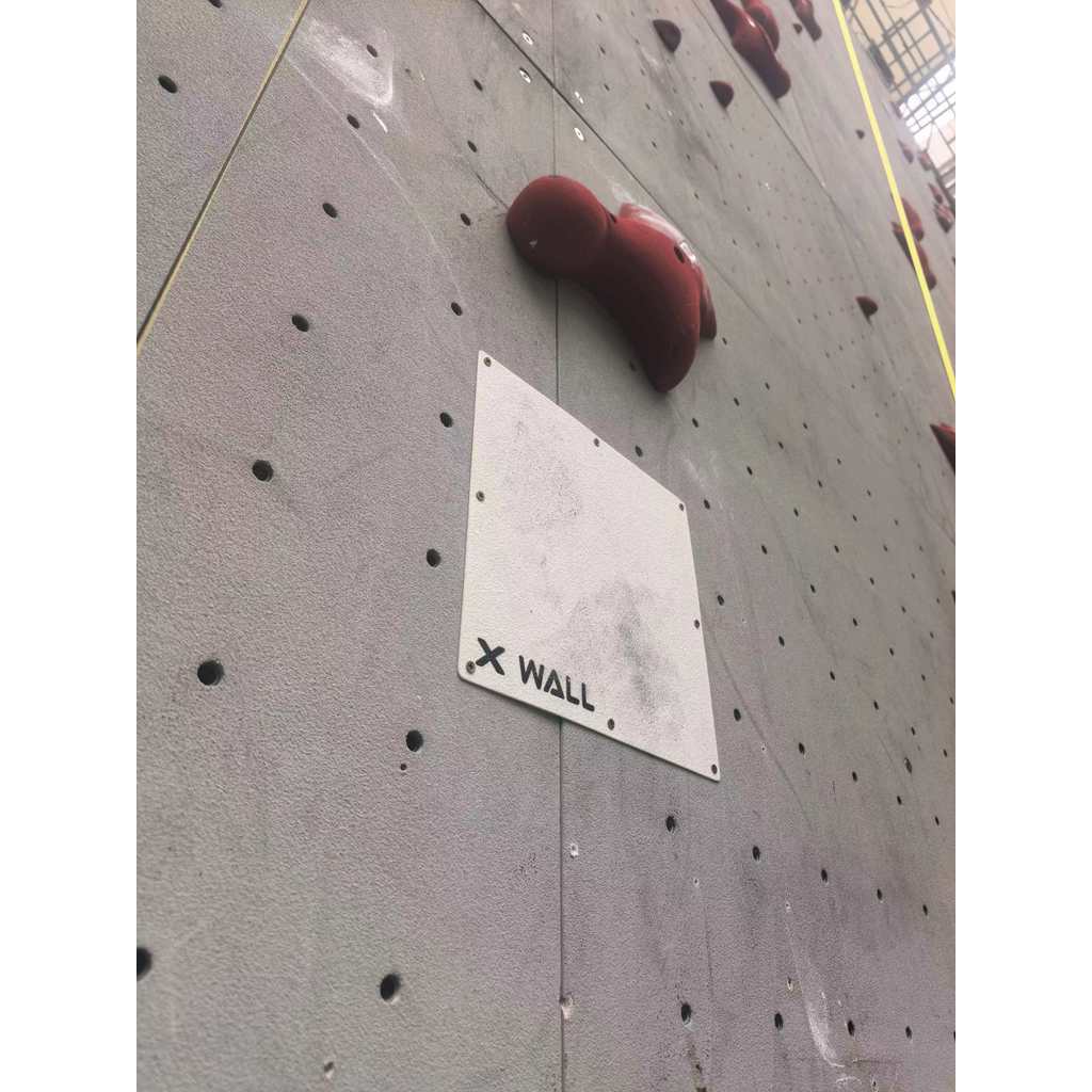 X-WALL Rock Climbing Board Speed Training Rock WALL Protection