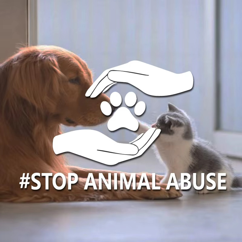 "#STOP ANIMAL ABUSE "สติกเกอร์ Arouse Public ความสนใจและการกระทําบนสัตว์ Abuse ฉบับที่สําหรับรถยนต์ไ