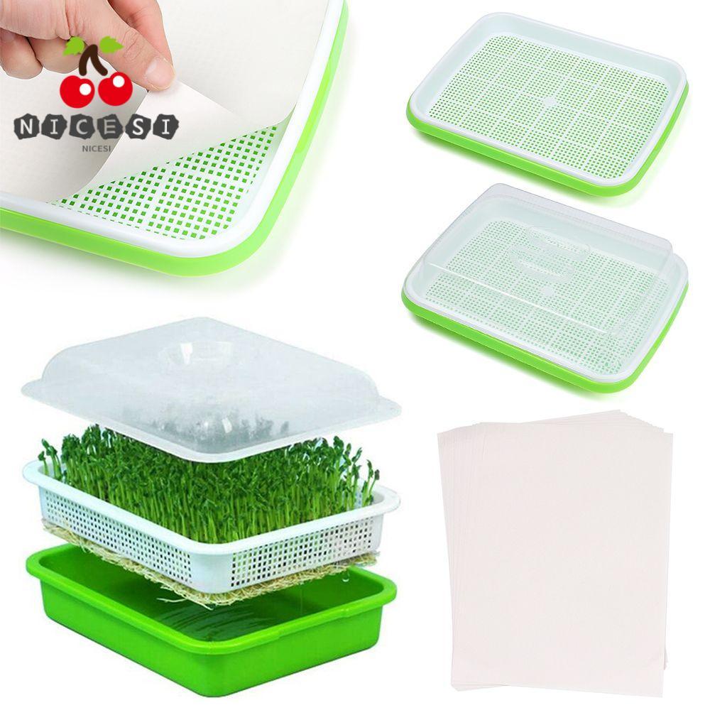 NICESI Grow Nursery Pots Outdoor Indoor Nursery Paper Sooilless Culture Sprout Pot