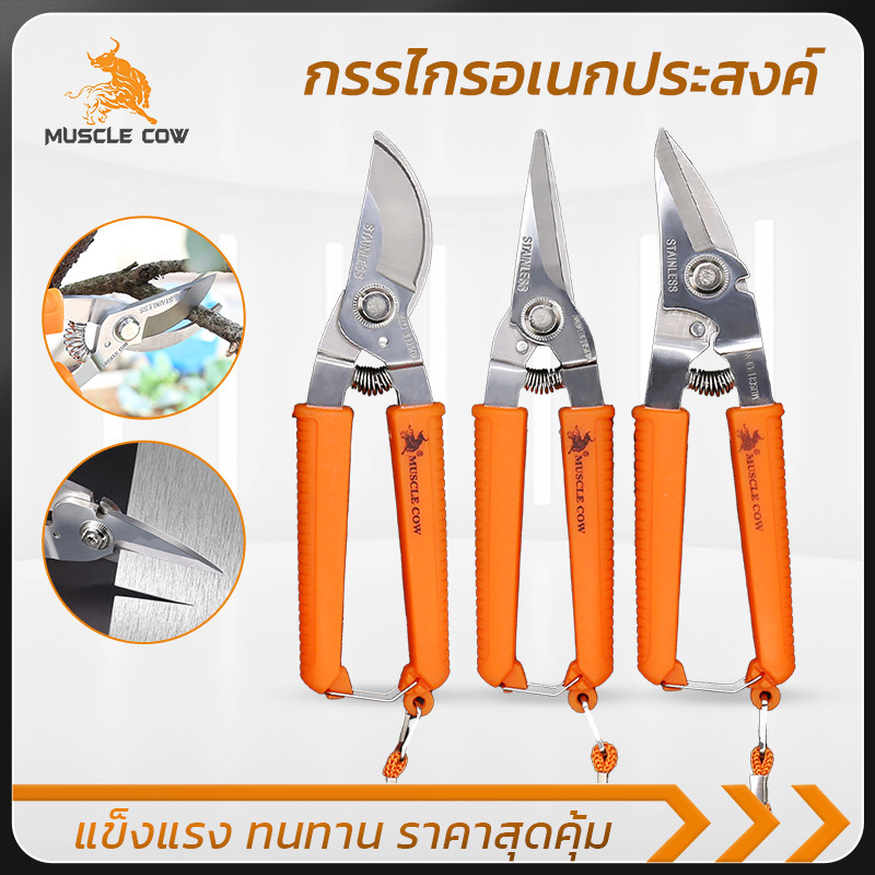 MUSCLE COW กรรไกรอเนกประสงค์ 8 นิ้ว สแตนเลส ด้ามจับสีส้ม ใช้ตัดกิ่งไม้ ตัดโลหะ ตัดแผ่นสังกะสีและอลูมิเนียม