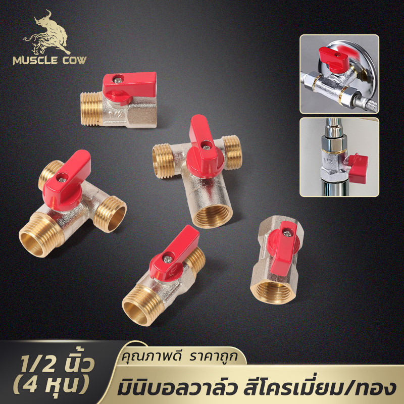 MUSCLE COW มินิบอลวาล์วทองเหลือง 1/2นิ้ว เกลียวนอก-ใน/นอก-นอก สีโครเมียม/ทอง ทนต่อแรงดันน้ำ