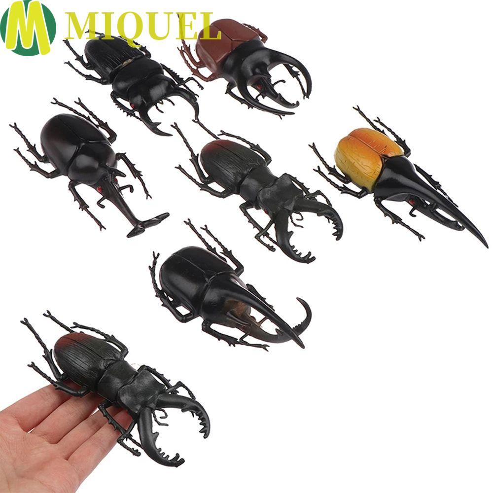 MIQUEL จําลองด้วงแมลงของเล่นสัตว์คอลเลกชันปลอมด้วงด้วงตัวเลขวิทยาศาสตร์ของเล่นปลอดสารพิษแมลงรุ่น