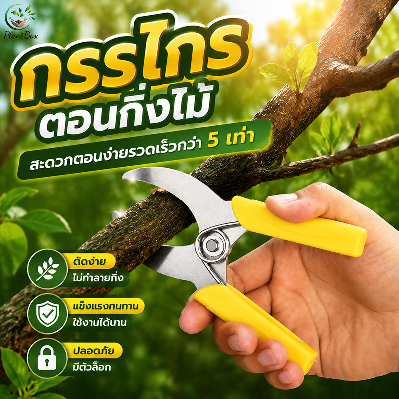 กรรไกรตอนกิ่งไม้ กรรไกรตอนกิ่ง สะดวกตอนง่ายรวดเร็วกว่า 5 เท่า