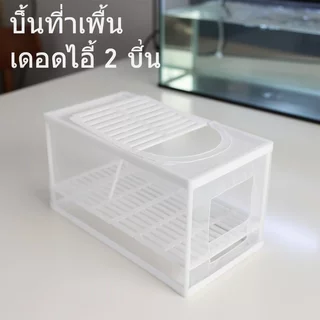 กล่องเพาะพันธุ์ปลา ฟักทอด ถังแยก ตาข่ายโปร่งใส Divider Aquarium เนอสเซอรี่