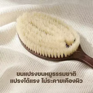 แปรงอาบน้ำพร้อมขนแปรงมะพร้าวและขนหมูป่านยาว ดีไซน์ 2 in 1 แปรงแห้งและเปียก เลียนแบบด้ามยาวโค้งมน ของใช้ในบ้าน แปรงอาบน้ำ
