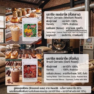 HERE BRAZIL CERRADO : เมล็ดกาแฟบราซิลเซอร์ราโดซิกเนเจอร์ : ช็อคโกเลตอัลมอนด์